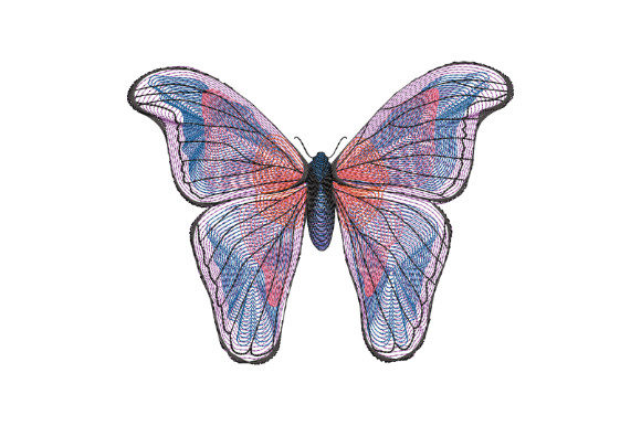 Review: Blue Butterfly with Large Wings